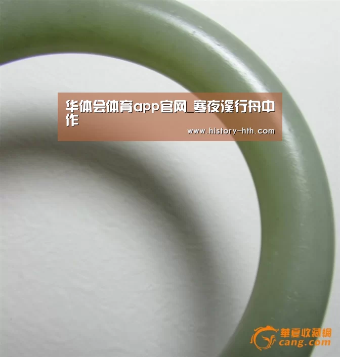 华体会app
